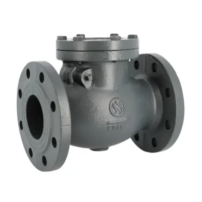 Clapet de non retour a simple battant fonte a brides 360 AVF Albi