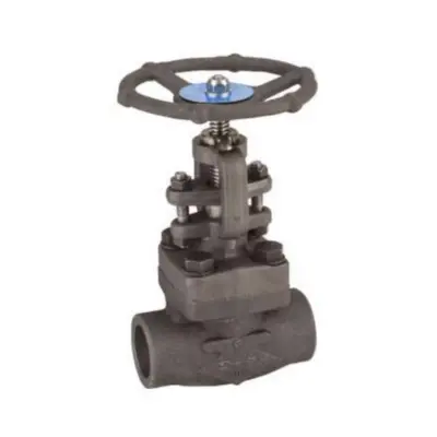 Vanne a soupape acier forge A105N class 800 femelle BSP 414 AVF Albi