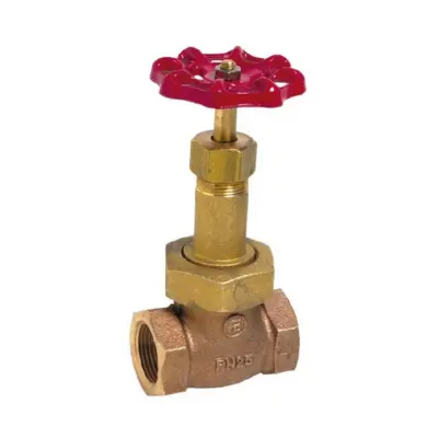 Vanne a soupape bronze a chapeau union clapet PTFE femelle BSP PN25 454 AVF Albi