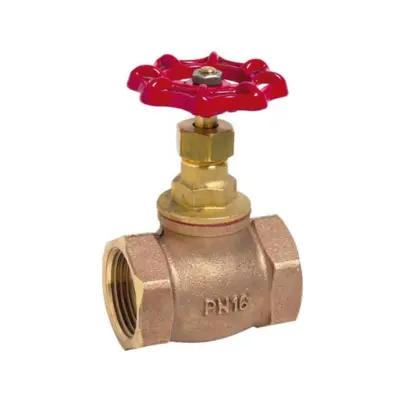 Vanne a soupape bronze clapet laiton fmelle bsp pn16 460 AVF Albi