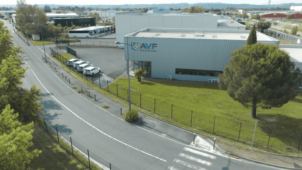 AVF 19