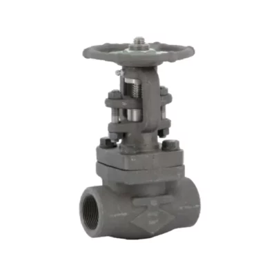 vanne a soupape a soufflet acier forge a105n class 600 trim8 femelle bsp 404 AVF Albi