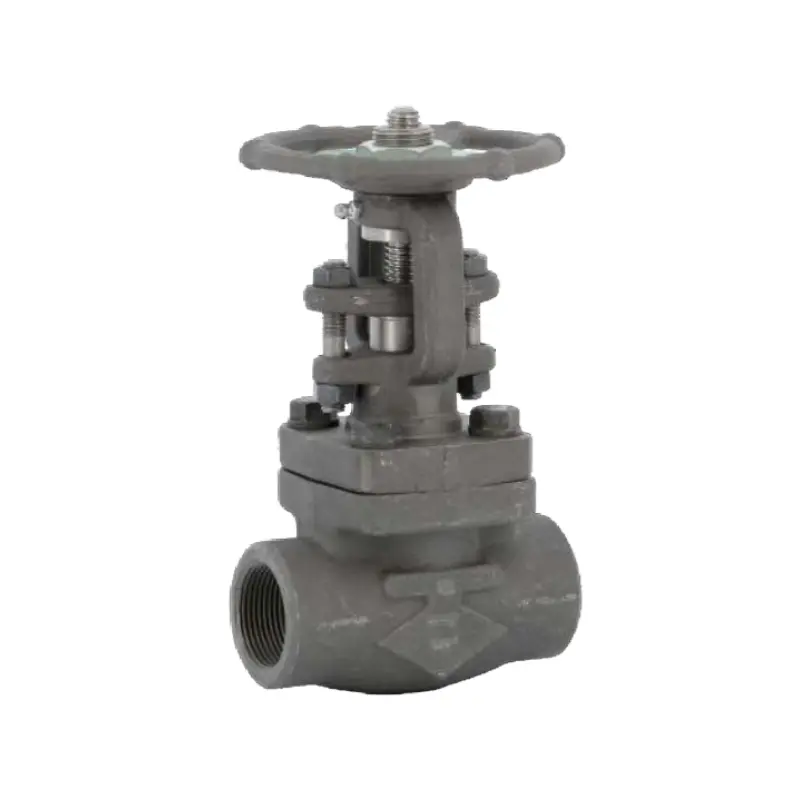 vanne a soupape a soufflet acier forge a105n class 600 trim8 femelle bsp 404 AVF Albi