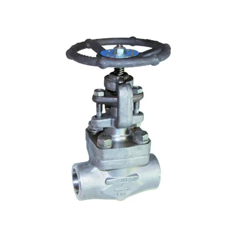 vanne a soupape inox forge f316 class 800 trim12 a souder sw 452 AVF Albi
